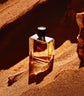 Terre D&